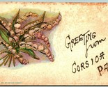 Lily of the Valley Greeting From Corsica Pennsylvania PA 1907 DB Postcar... - $5.89