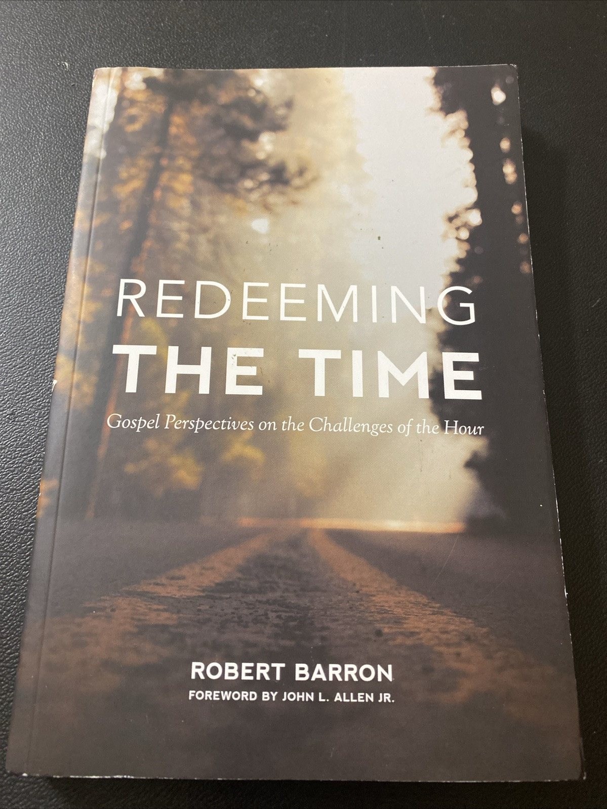 Redeeming the Time by Robert Barron 2022 Trade Paperback - $17.00
