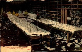 A Cotton Sample ROOM-MERIDIAN MISSISSIPPI-DIVIDED Back 1910 Postcard BK58 - £4.34 GBP