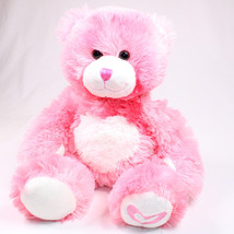 Build A Bear Pink Hearts Kisses For You Magnetic Plush Teddy Bear Stuffe... - $13.08