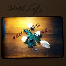 1956 Still Life Photography Flowers And Shells VTG Red KIDSCHROME 35mm Slide - £10.41 GBP