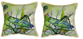 Pair of Betsy Drake Grasshopper Large Pillows 18 Inch x 18 Inch - £70.08 GBP