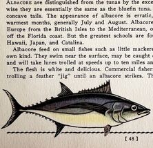 Albacore 1939 Salt Water Fish Gordon Ertz Color Plate Print Antique PCBG19 - $42.03 CAD