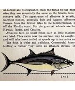 Albacore 1939 Salt Water Fish Gordon Ertz Color Plate Print Antique PCBG19 - $42.03 CAD
