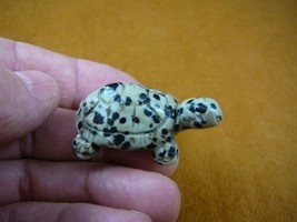 (Y-TUR-LA-554) White Black Tortoise Turtle Carving Figurine Gemstone Turtles - £11.19 GBP