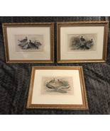 J. Bishop J. Stewart 3 Framed Art Prints Birds Pheasant Turkey Peafowl C... - $335.08 CAD