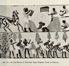 1942 Egypt Tomb of Menna Harvest Time Historical Print Antique Ephemera ... - £16.45 GBP