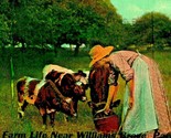 Farm Life Feeding Cows Calfs Near Willamsburg Pennsylvania PA UNP 1910s ... - $5.89