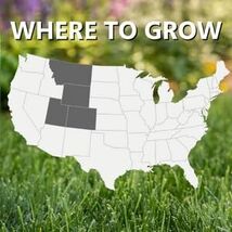 Jonathan Green Black Beauty Rocky Mountain Colorado Grass Seed Mixture (... - $34.63+