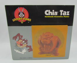 Looney Tunes Taz Chia Pet Tasmanian Devil Decorative Planter Sealed Vint... - $9.74