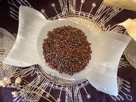 .5 oz Brown Mustard Seeds, Ward Off Evil, Court Cases, Confuse Energies, Cursing - £0.86 GBP