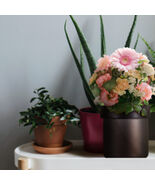 4K Streaming 4G Flower Pot - $349.00