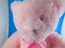 Hersheys Pink Teddy Bear 12&quot; Beautiful Soft Plush PLUS Hershey&#39;s Chocolate Mug - £19.41 GBP