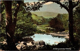 Irish Postcard At Derrycunnihy Lakes Of Killarney Ireland (B11) - £5.88 GBP