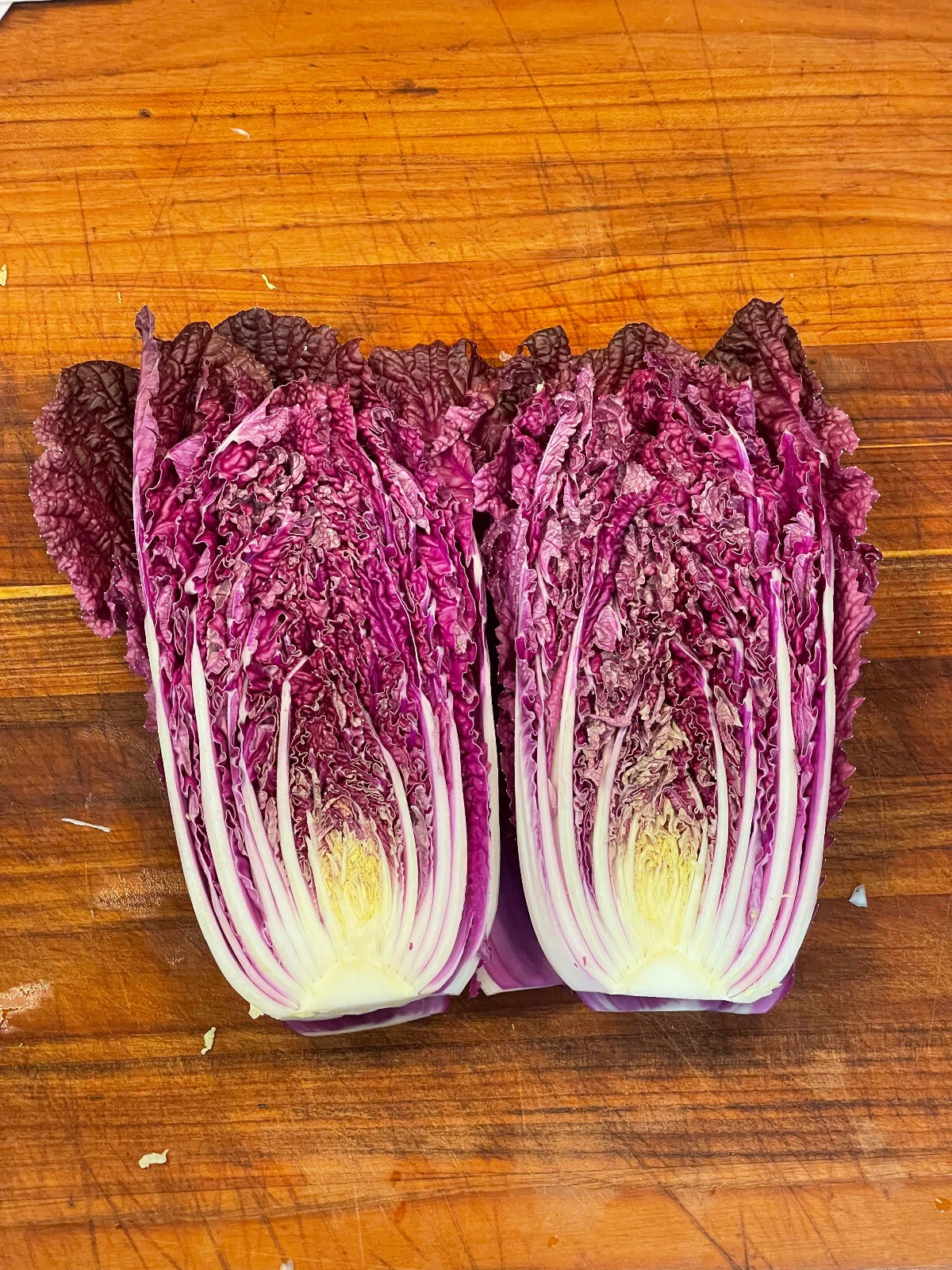 Merlot Red Dragon Chinese Cabbage Hybrid (F1) seeds -  Brassica rapa - $4.58