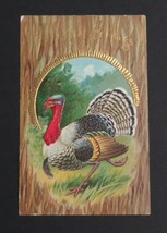 Thanksgiving Greetings Turkey Gold Embossed c1910s Antique Series #20 Postcard - $9.99