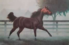 The Quarter Horse - Limited Edition Signed and Numbered Print by Chuck DeHaan -  - £153.32 GBP