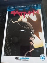 Batman Vol 1 I Am Gotham Comic - £11.04 GBP