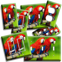 COLORFUL TROPICAL MACAW BIRDS TREE BRANCH LIGHT SWITCH OUTLET WALL PLATE... - $16.37+