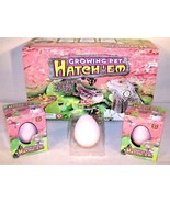 4 HATCH&#39;EM GROWING LIZARD EGGS toy grow hatch novelty - $180.65 MXN