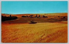 Vintage Wheat Harvesting farm landscape Postcard Inland Empire - £3.88 GBP