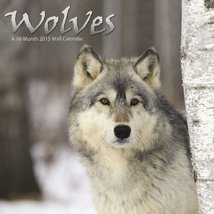 Wolves 2015 Wall Calendar Trends International - $5.99