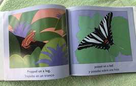 Stripes of All Types hardback book image 2