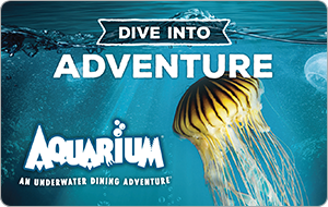 Aquarium - $10.00+