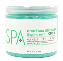 BCL - Spa Tingling Mint Salt Soak, 16oz