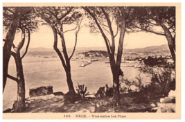 Nice Entree les Pins French Black &amp; White Postcard - £5.88 GBP