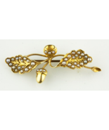 14k or Jaune Victorien Chêne Blossom Graine Perle Broche Superbe - $11,619.11 MXN