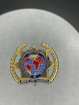 International Police Association Servo Per Amikeco lapel pin police - $11.88