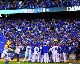 MLB Baseball 2014 American League Kansas City Royals Framed Photo Picture #2401 - $49.95