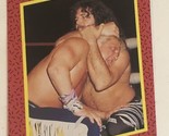 Fabulous Freebirds WCW Trading Card World Championship Wrestling 1991 #119 - $1.97