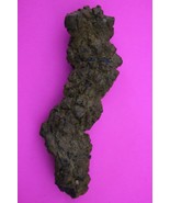 Giant Lizard Poop 5 Million Years Old Coprolite Genuine Fossil Dino Girl... - $41.13 CAD