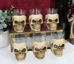 Ebros Grinning Skull Shot Glass Set of 6 Altar of Skulls Skeleton Ossuary Skull - £23.52 GBP