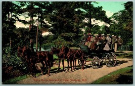 Stage Coach Tally Ho In Beacon Hill Park Victoria BC Canada UNP DB Postcard F15 - $5.01