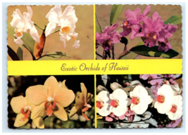 Orchids Exotic Pink White Yellow HI Postcard - $5.95