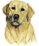 Yellow Lab Labrador Retriever Hunting Dog High Quality Graphic Decal Car... - $132.10 MXN+