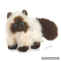 Webkinz Himalayan Brown Tan Himalaya Cat Plush Toy Stuffed Animal Ganz *... - $11.85