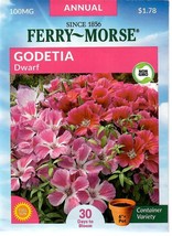 GIB Godetia Dwarf Flower Seeds Ferry Morse  - $10.00