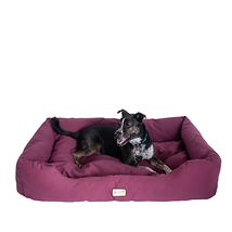 Armarkat Burgundy Bolstered Dog Bed - M/L/XL Sizes Available - £128.64 GBP