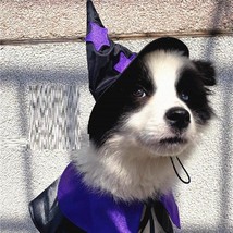 Enchanting Pet Halloween Wizard Costume Set - £16.74 GBP