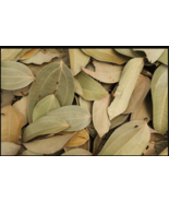 Jamaican Dried Cinnamon Herbal Leaves (50 Leaves) - £9.42 GBP