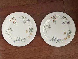 Royal Doulton Springtime Dinner Plates Set Of 2 Fine China Flowers - $49.49