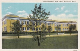 Texarkana Texas High School TX Postcard  - £2.23 GBP