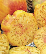 PPA 50 Seeds Pineapple Tomato Heirloom Vegetable Tomatoe Garden Edible - $4.76