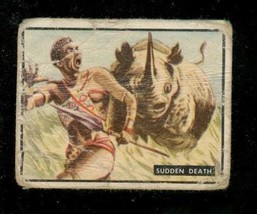 1950 Topps Trading Card Bring Em Back Alive Sudden Death Dangerous Livin... - $4.94