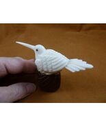 TNE-BIR-HU-680c) Hummingbird bird + nest TAGUA NUT figurine hummingbirds - €36,91 EUR