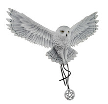 Anne Stokes Awaken Your Magic Snowy Owl with Pentagram Pendant Wall Scul... - £86.25 GBP